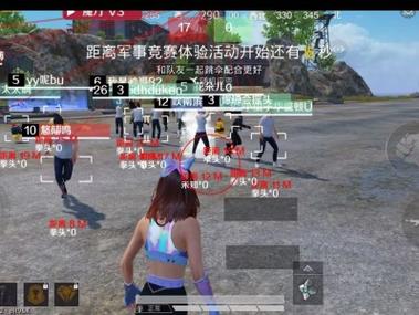 火焰鸟直装科技 - 高兼容稳定辅助合集